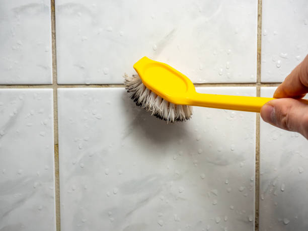 Water Damage Restoration in Elberta, AL